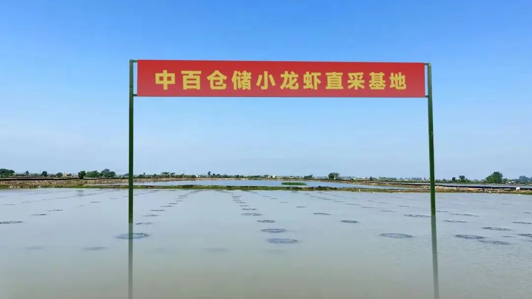 9569d631b8dfdaa6ec5ff62ce00cdc14 CA88(中国区)官方网站入口