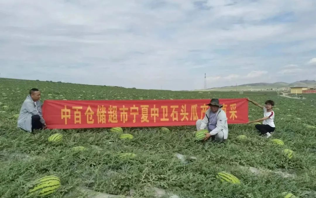 cef23009f6dd47971518625828f3e96e CA88(中国区)官方网站入口